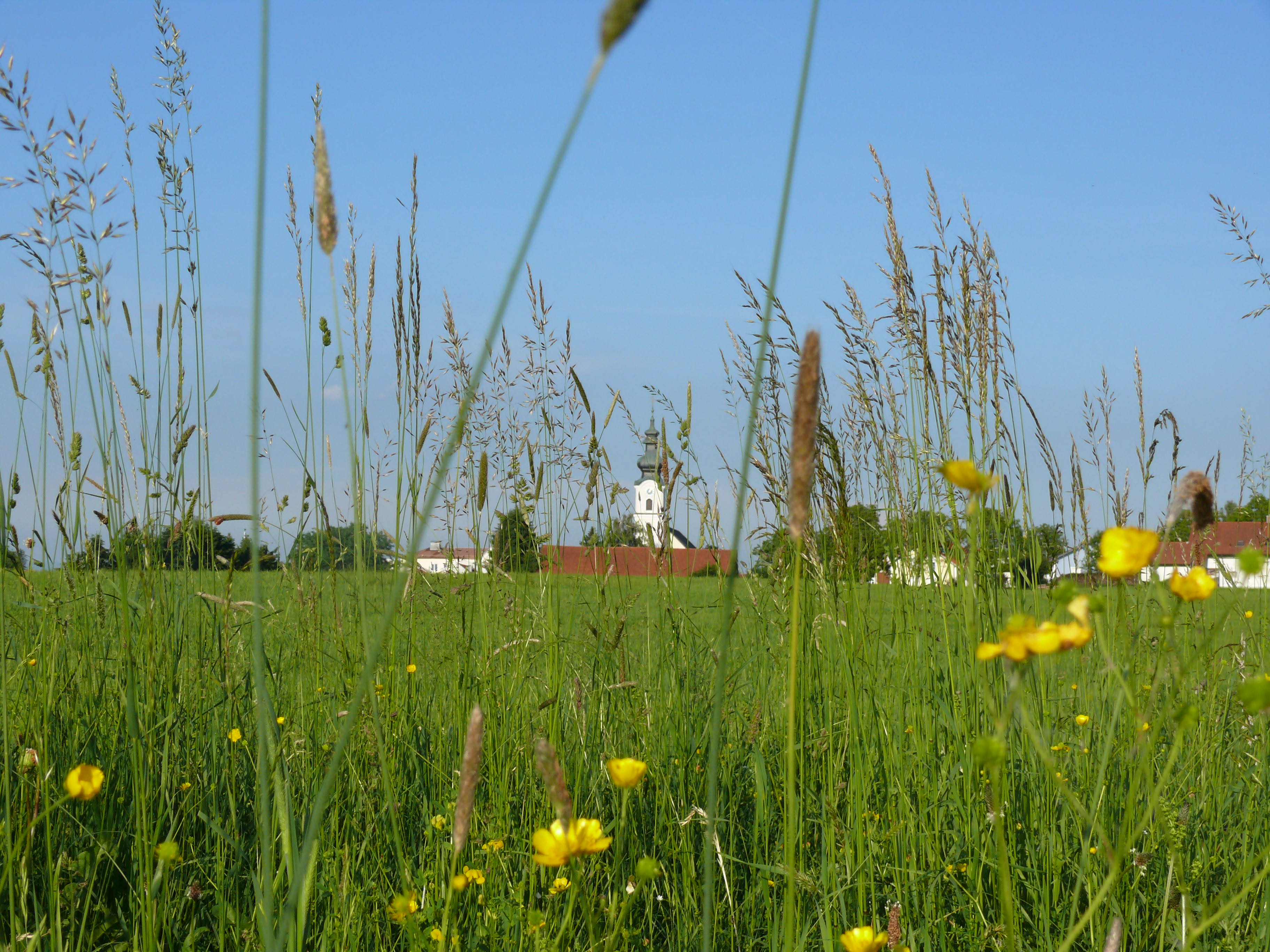 Neukirchen vorm Wald